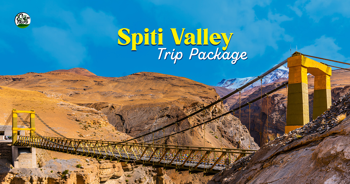 tours,spiti packages